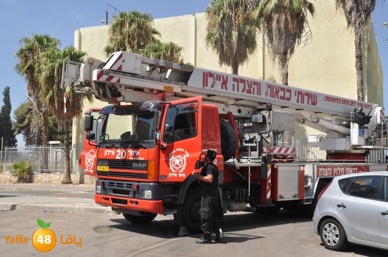 cat lud 910 (27).JPG